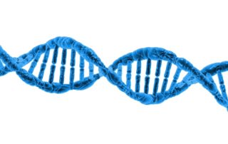 dna-163710_1280