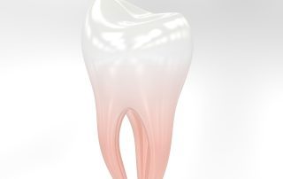 teeth-3433751_1280